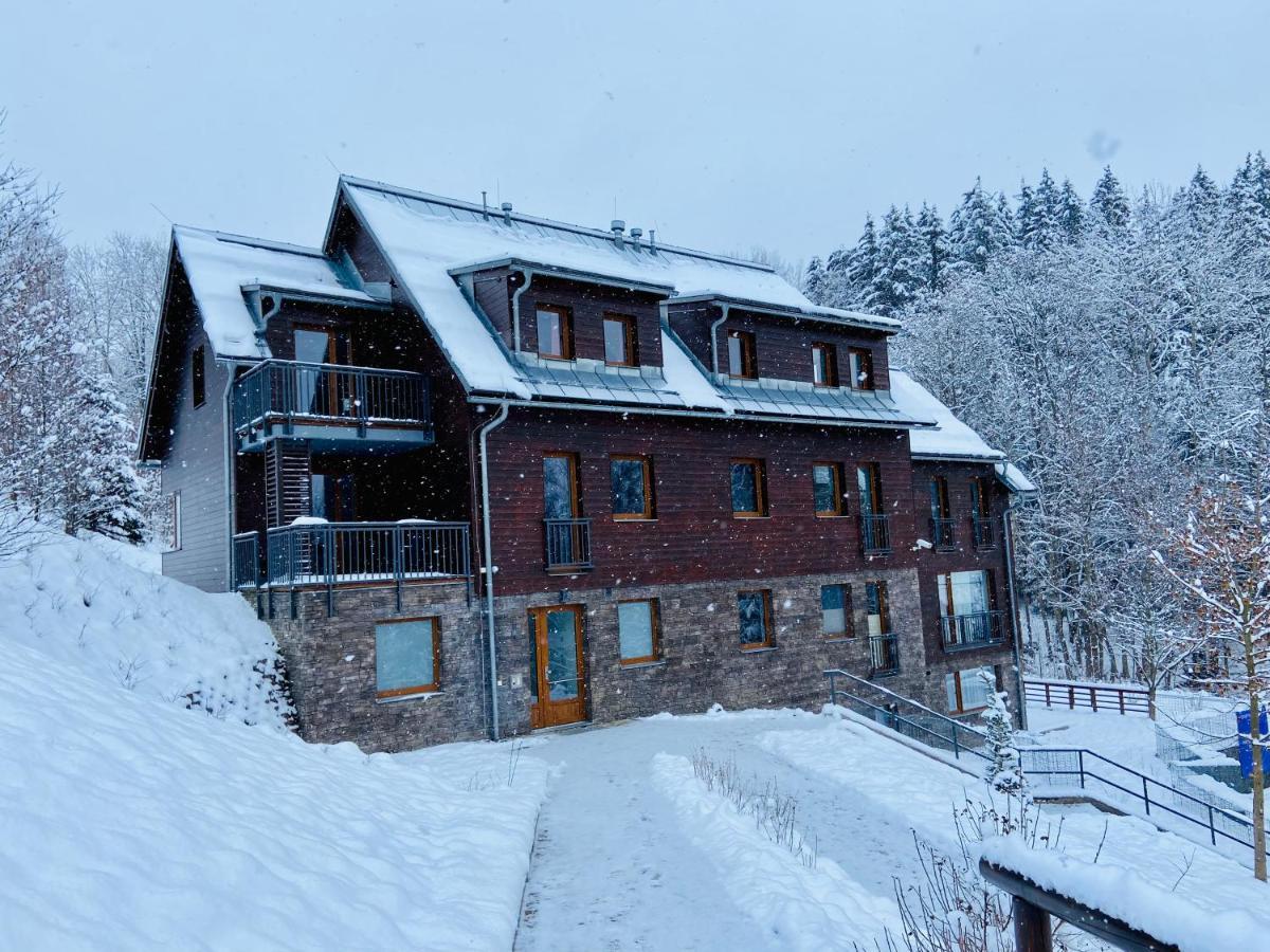 Utulny Apartman V Srdci Krkonos Se Saunou 야블로네츠 나트 이제로우 외부 사진